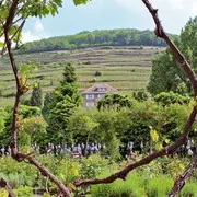 Escapade dans le Florival 