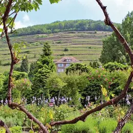 Escapade dans le Florival 