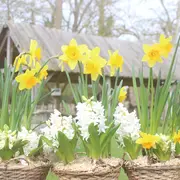 Le Jardin s'invite au Château