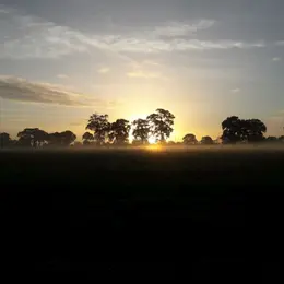 Le jour de la nuit