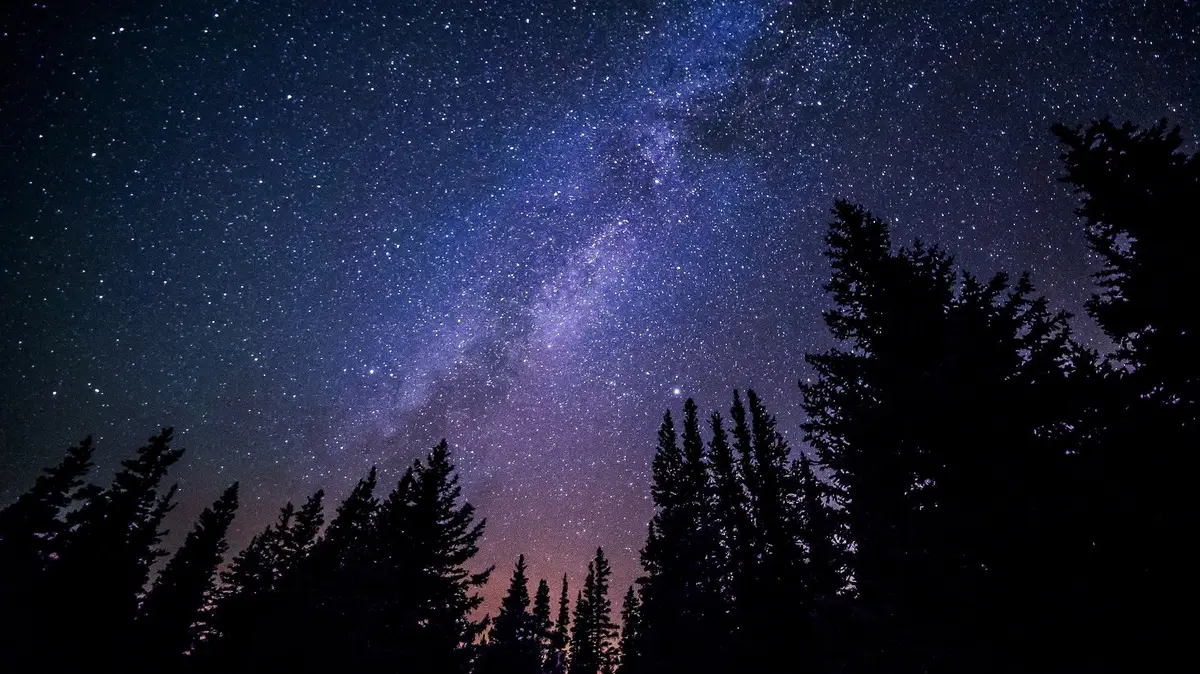 Le Jour De La Nuit