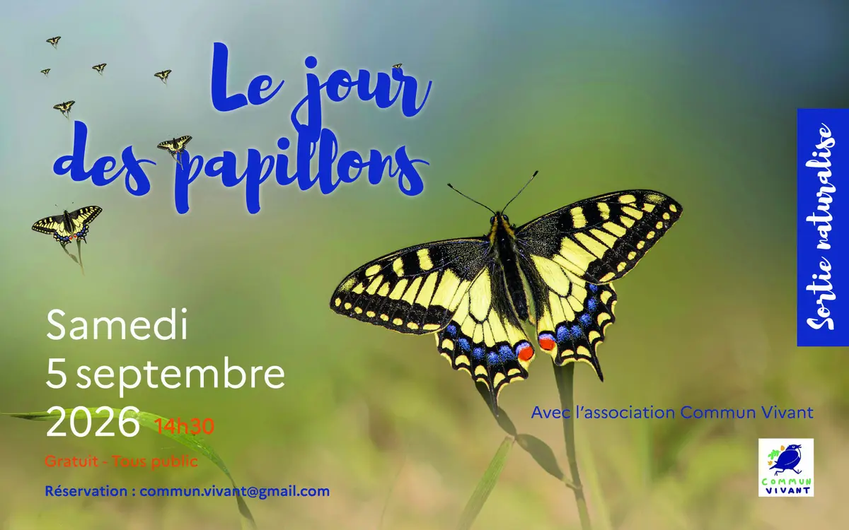Le jour des papillons