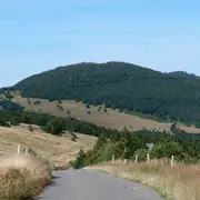 5 sommets vosgiens à (re)découvrir cet été !