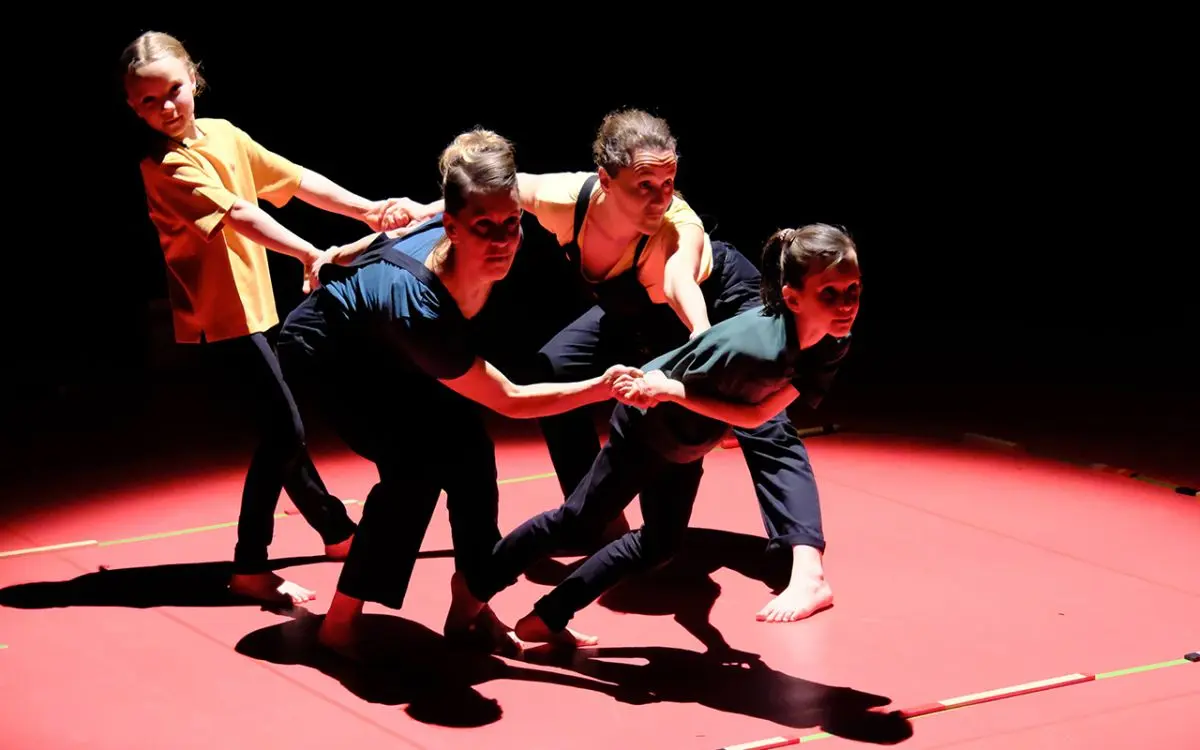 Le labyrinthe de l'oie