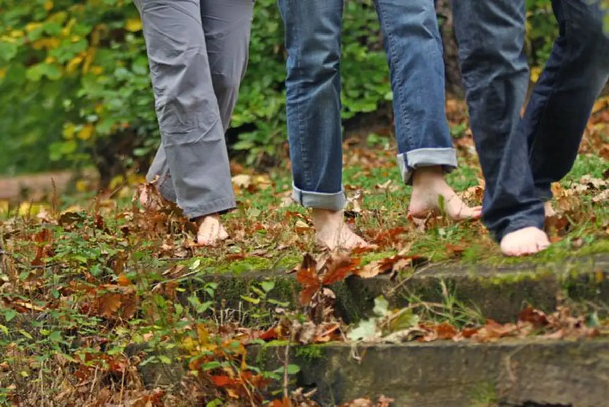 Un sentier qui fait  du bien aux doigts de pied