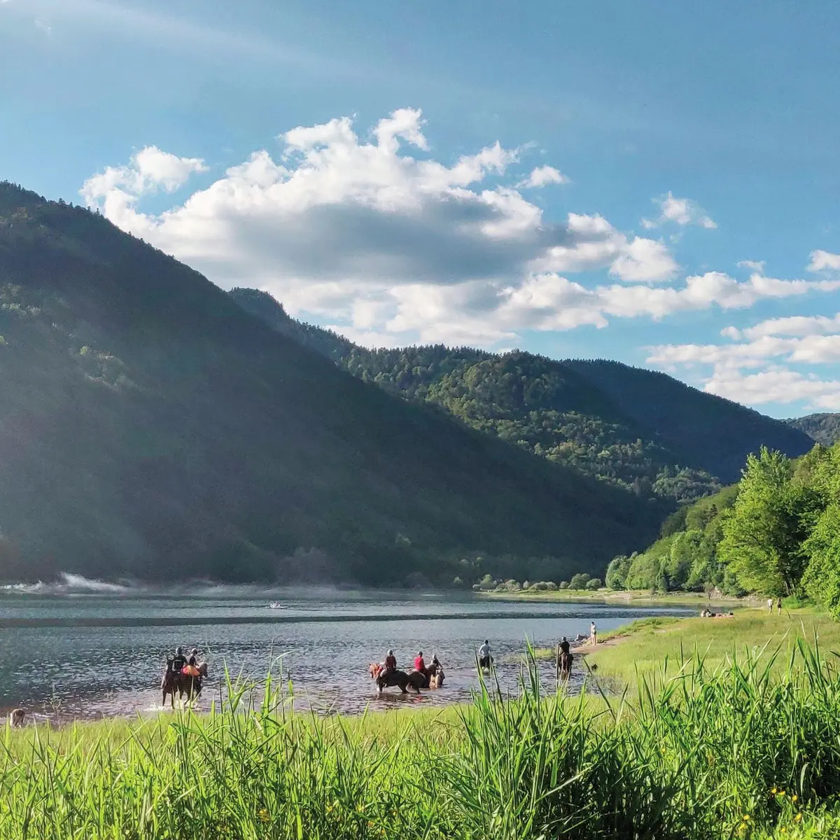 Le lac de Kruth, un écrin de nature