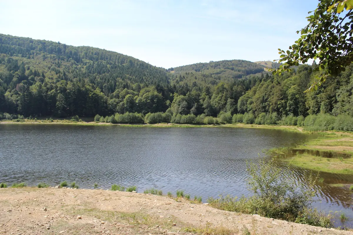 Atilla aurait-il perdu son précieux char au lac de la Lauch ?