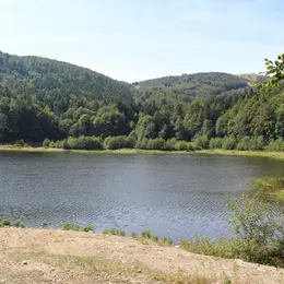 Info ou intox ? 5 légendes sur les lacs alsaciens ! 