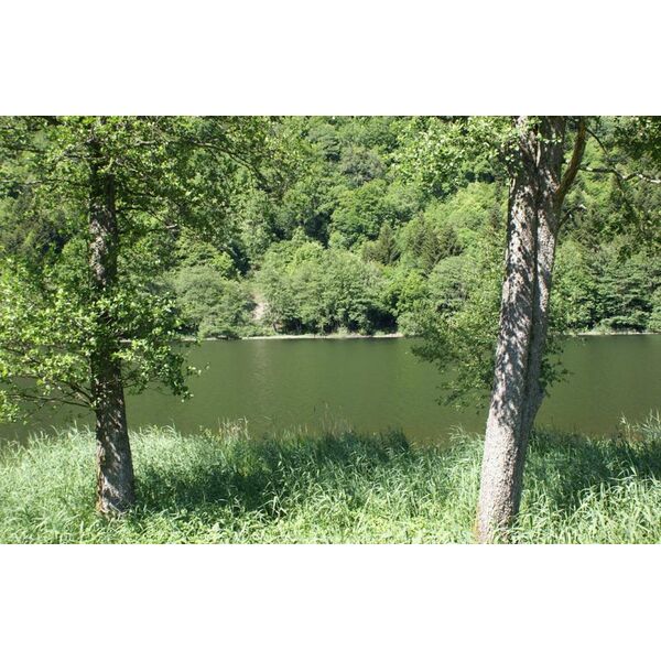 Sewen - le guide, infos, loisirs, tourisme, sorties