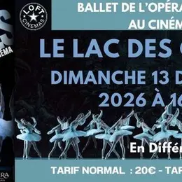 Le Lac des Cygnes
