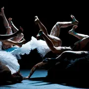 LE LAC DES CYGNES Florence Caillon – Compagnie L’Eolienne