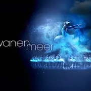 LE LAC DES CYGNES INTERNATIONAL BALLET - Le Lac des Cygnes