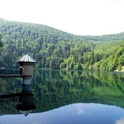 5 lacs vosgiens à ne pas manquer !