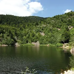 3 lacs vosgiens pour la baignade