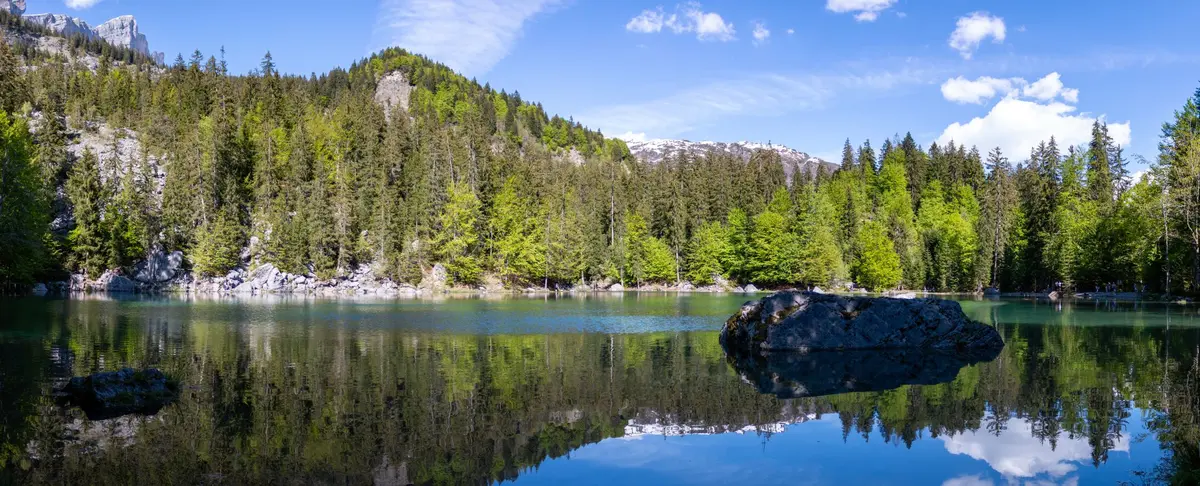 Lac Vert de Passy