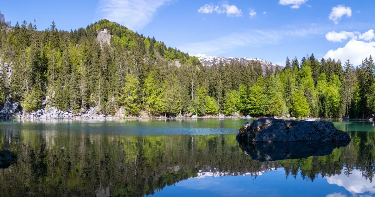 Lac Vert de Passy