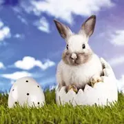 Match : Le Lièvre de Pâques vs Le Père Noël