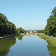 Les meilleurs spots pour aller courir en Alsace