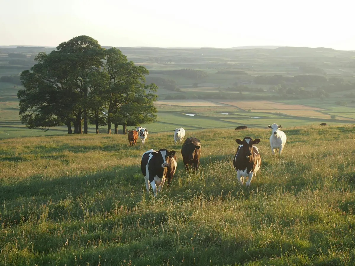 Le Lot de Ferme en Ferme : Découverte de la ferme du Pilou