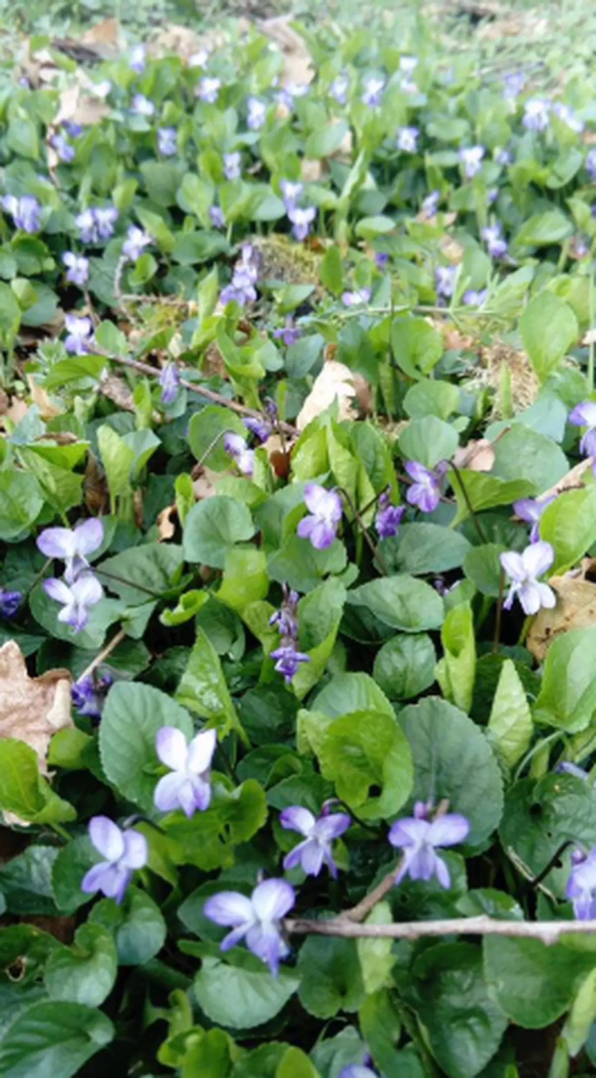 Le Lot de Ferme en Ferme : Découverte de la ferme du Dariben