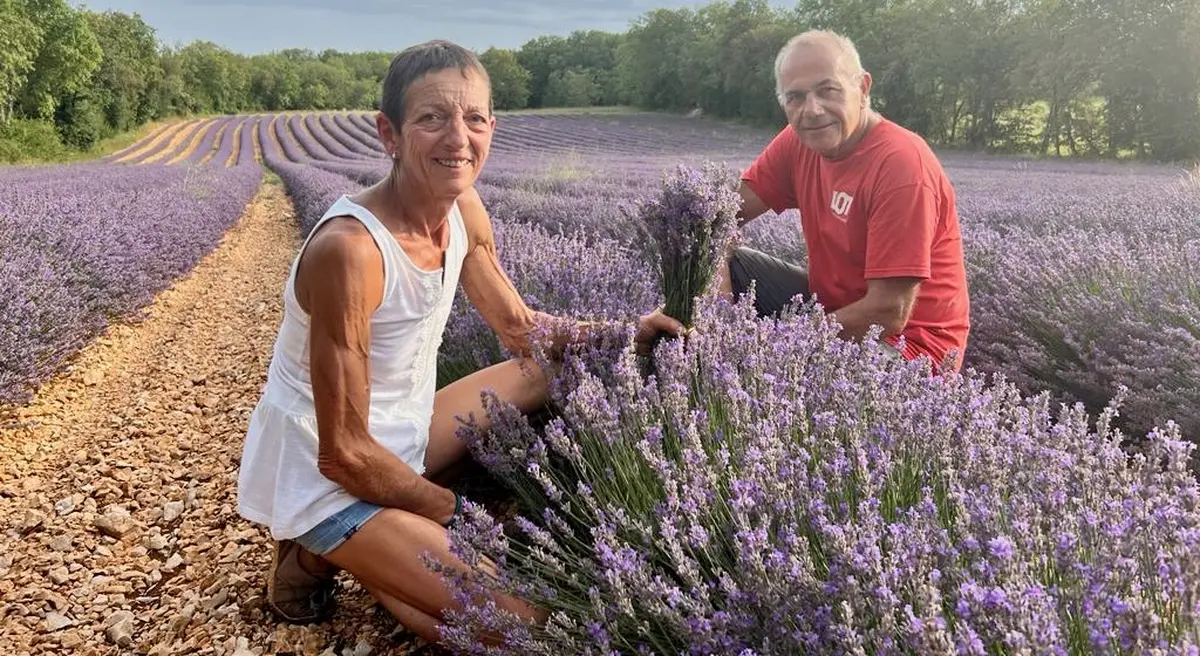 Le Lot de ferme en ferme : Les Senteurs de Roumégouse - Lentillc-du-Causse