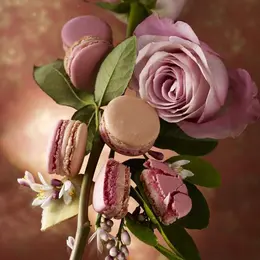 Les macarons de Pierre Hermé