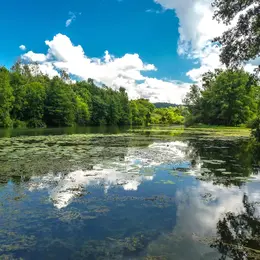 Le marais de Saône