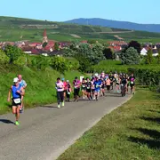 Les 4 courses de la rentrée 2021