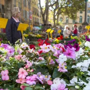 Le marché aux fleurs d\'Aix-en-Provence