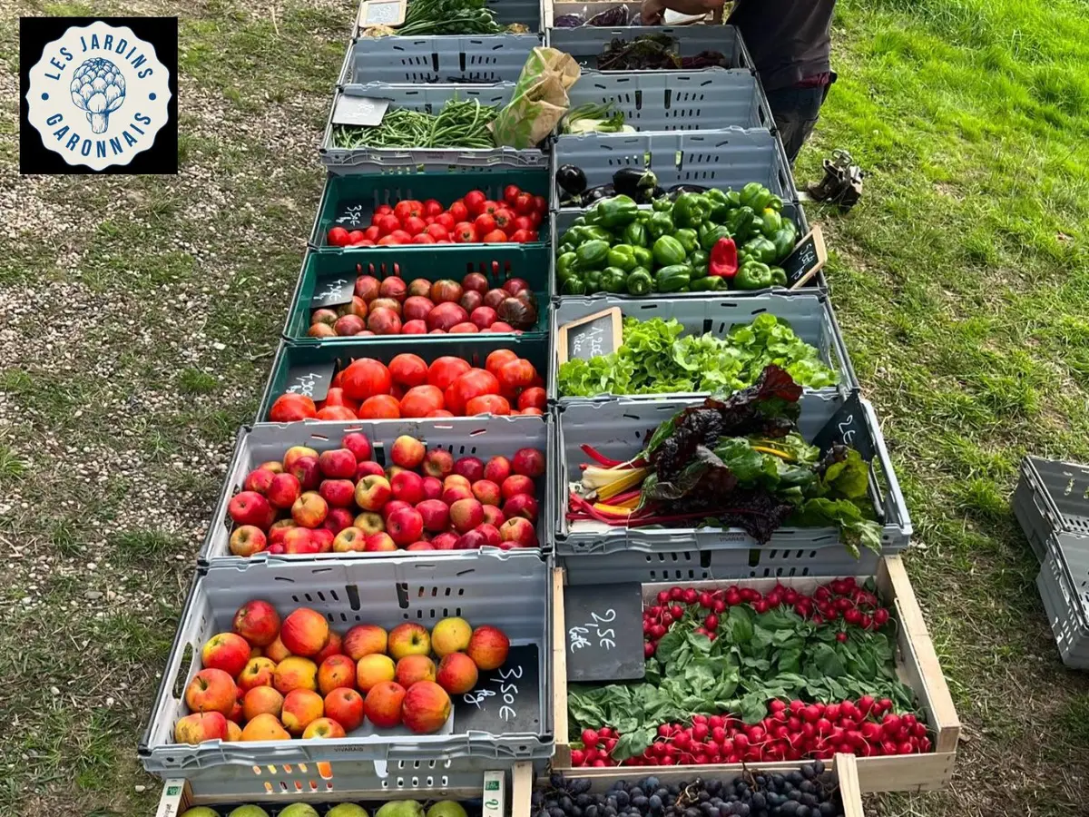Le marché de la Table du Renard Bleu