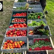 Le marché de la Table du Renard Bleu