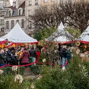Le Marché de Noël de Paris Notre-Dame 2025