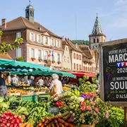 Le marché de Soultz représente l'Alsace au concours du Plus Beau Marché de France sur TF1
