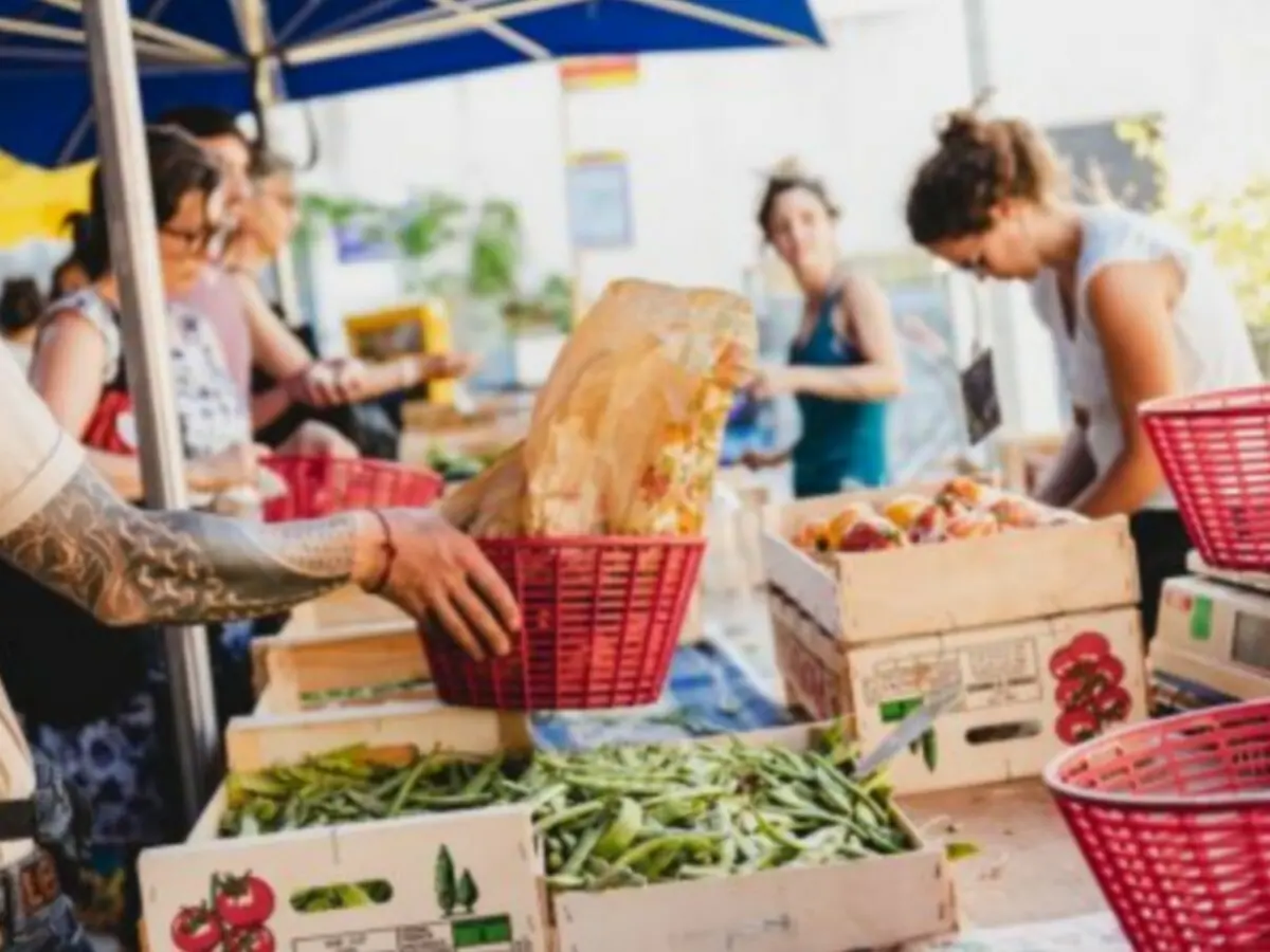 Le marché paysan de la Friche