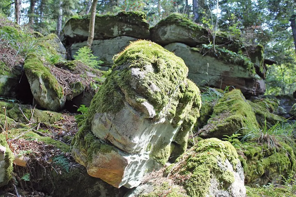 Le massif du Taennchel