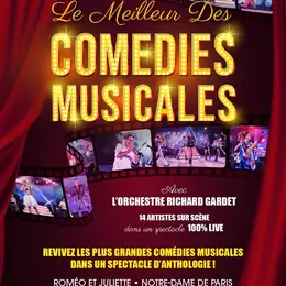 Le meilleur des comedies musicales