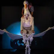 Le merveilleux voyage de Nils