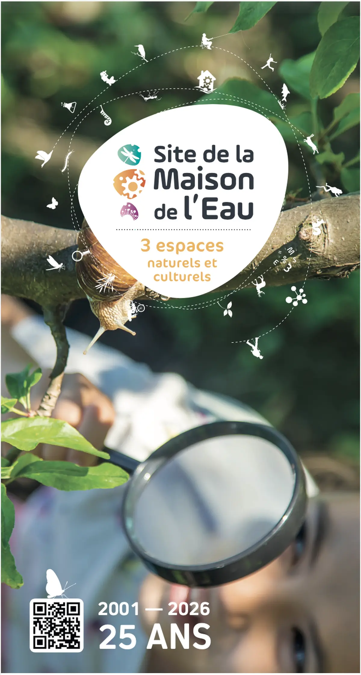 Le miel et les abeilles