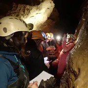 Le milieu souterrain : une nuit perpétuelle