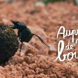 Le Mois Du Doc : Auprès De Ma Bouse