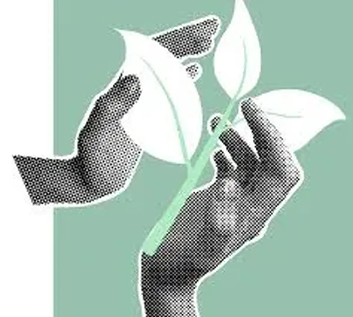 Le mois du doc : jeu vidéo Flower sur PS5 à Saint Geniez d'Olt