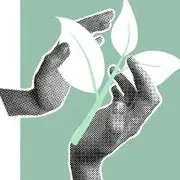 Le mois du doc : jeu vidéo Flower sur PS5 à Saint Geniez d'Olt