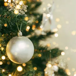 Le Mois Givré - Animations de Noël à Belfort 2026