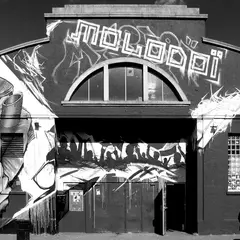 Le Molodoï