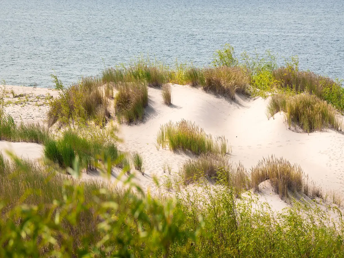 Le Monde De La Dune