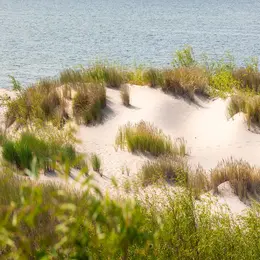 Le Monde De La Dune
