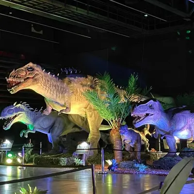 Reims : nos 8 idées sorties du week-end