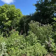 Le monde végétal au-delà du regard - Rendez-vous aux jardins