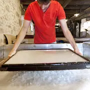 Le Moulin du Got : Visite d'un moulin à papier toujours en activité