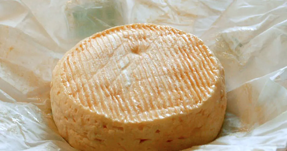Le munster : le roi des fromages